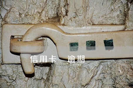 信用卡 逾期 信用卡 逾期